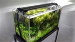 LED Aquarium-Beleuchtung BARRACUDAS-LD2 | 2x weiß | Aufsetzlampe