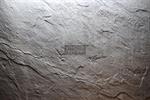 Slate Arte 221231 | Kunst-Schiefer | Boden & Wand