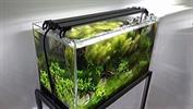 LED Aquarium-Beleuchtung BARRACUDAS-LD2 | 2x weiß | Aufsetzlampe